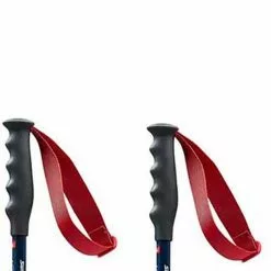 Swix World Cup Pro Super-G Stangen -Swix Pop Store swix world cup pro super g stangen 4